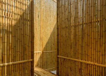 Bamboo Structures of a Garden